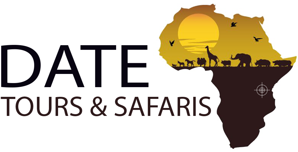 Date Tours & Safaris!